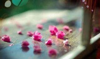 分手了就不要再联络 分手了就不要再联络