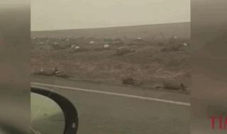 鬼步舞的起源 墨尔本鬼步舞面具男