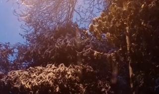 2022元旦下雪吗 2022年初雪