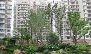 2021年合肥二手房好卖吗 合肥二手房交易市场