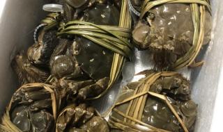 蟹状元的蟹卡怎么用 蟹状元大闸蟹礼品卡