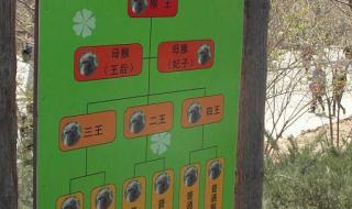 石家庄旅游攻略 石家庄旅游攻略