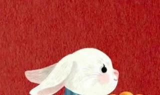 2023年是好年份吗 2023年属兔百年难遇