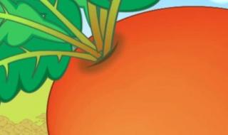 太阳你是粉刷匠吗比喻句有哪些 我是一个粉刷匠舞蹈