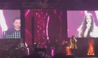 蔡健雅beautifullove