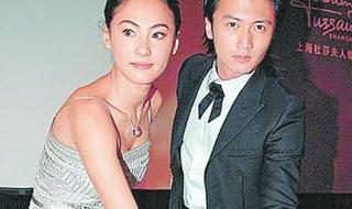 为什么张柏芝和谢霆锋离婚 张柏芝与谢霆锋离婚