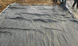鱼塘防渗膜生产厂家 鱼塘防渗膜生产厂家