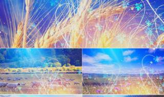 《打起手鼓唱起歌》的原唱是谁 打起手鼓唱起歌舞蹈