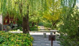 最新双一流入选大学