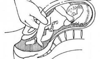 轻置臀是什么意思 轻置玉臀是什么意思