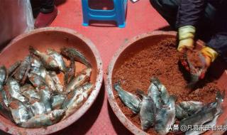 腌鱼的做法 腌鱼的做法