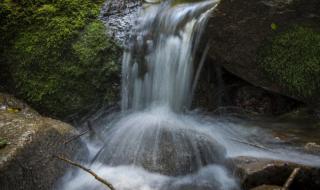 雾灵山攻略 雾灵山攻略