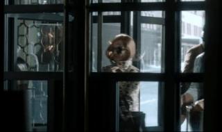 4000电影网 4000电影网