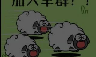 羊了个羊透明模式怎么设置 羊了个羊的羊图片