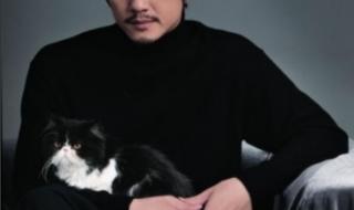 宋丹丹和英达之间到底发生了什么,当年他们为什么会离婚 宋丹丹出了什么事