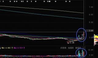 如何查看中通快递实时地图显示 中通快递查物流跟踪
