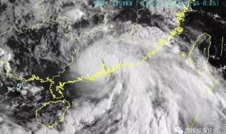 台风少年七人成团 台风少年七人成团