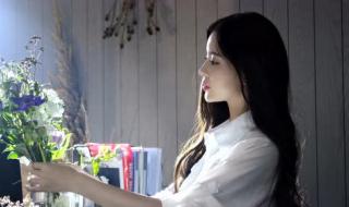 上门女婿叶辰完整版 上门女婿叶辰完整版