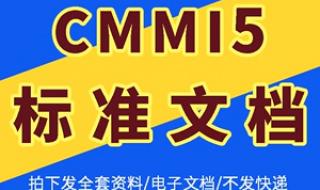 软件开发项目管理