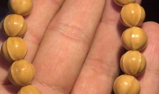 什么品牌的鲨鱼裤是最正品 世界上最漂亮的鲨鱼