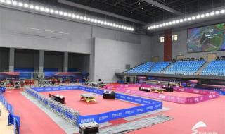 20年乒乓球世界杯冠军是谁 2020世界杯乒乓球用什么牌子