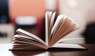 如何评价科比职业生涯的最后一场比赛 科比最后一站赢了吗