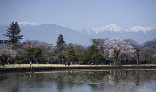 历届奥运会举办城市,英文 历届奥运会的年份和国家城市